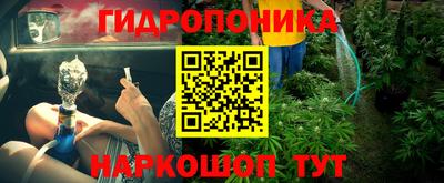 сатива Ставрополь